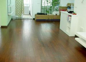 重蟻木2.jpg 重蟻木2.jpg