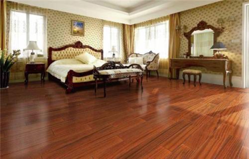 重蟻木3.jpg 重蟻木3.jpg