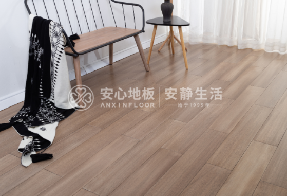 圓盤豆1.png 圓盤豆1.png